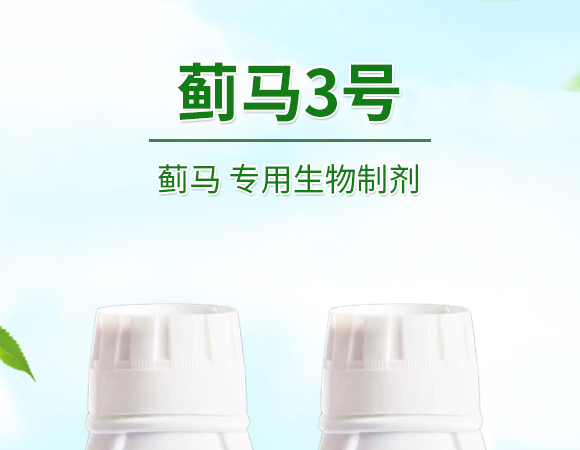 �E�R�����������Ƅ�-�E��3̖-�����S����_01