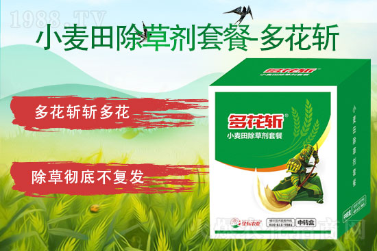 2021.8.28�p���ѳ��݄��r���߄�