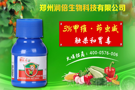 危害盛期的桃蚜如何防治？桃樹蚜蟲的危害與防治！