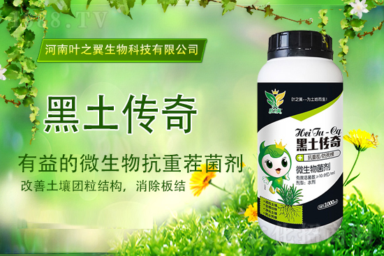 �������؈�(b��o)�r(ji��)��2021��9��15�Շ���(n��i)�������؃r(ji��)������