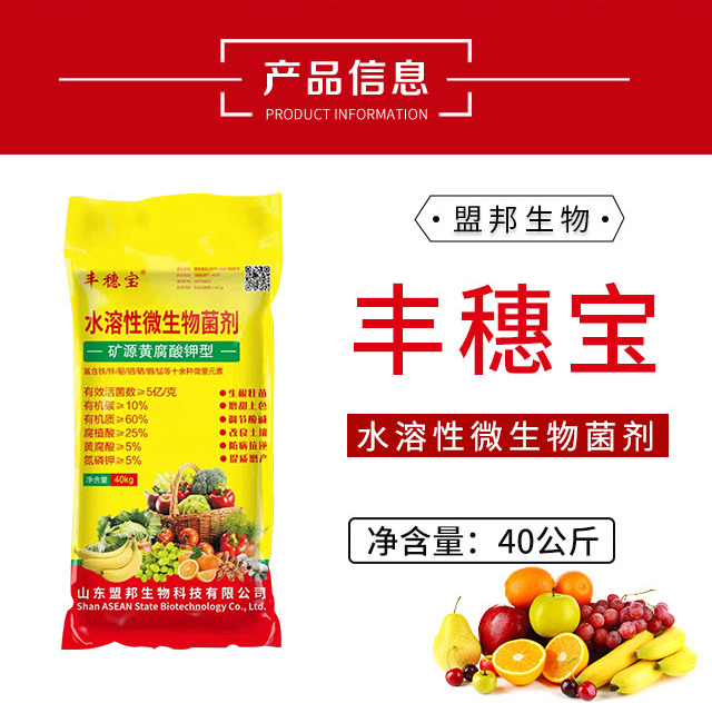 �S�݌�-�˰�_02