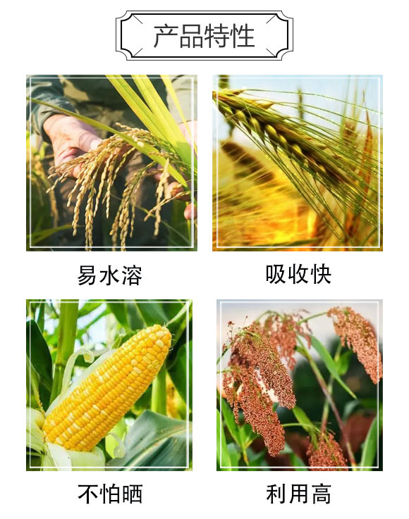 �������ЙC(j��)����-�󻯷ʘI(y��)_03