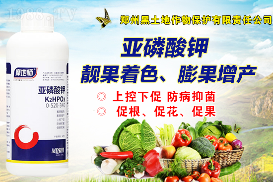 2022��2��26�����@�r(ji��)������һ�[