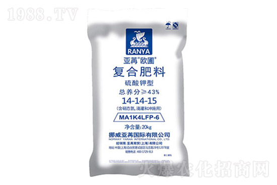 ����(w��n)�\(y��n)����2022.2.8���Տ�(f��)�Ϸʃr��