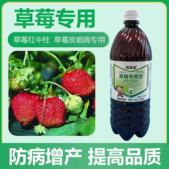 ��ݮ������΢�������-�ο�ֲ��2