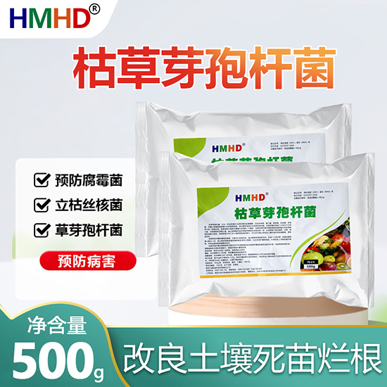 �ݲ�ѿ�ߗU��-�ο�ֲ��2