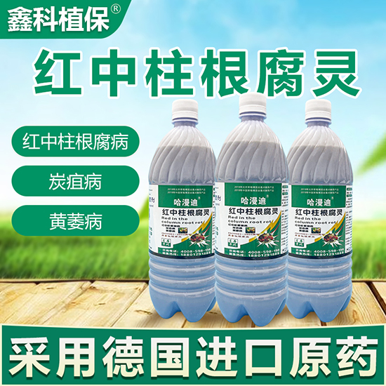 ��ݮ�t���������`-�ο�ֲ��2