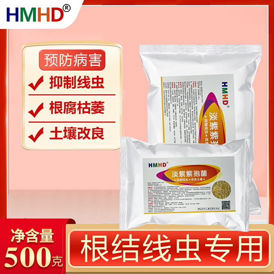 �������߾�-�ο�ֲ��2