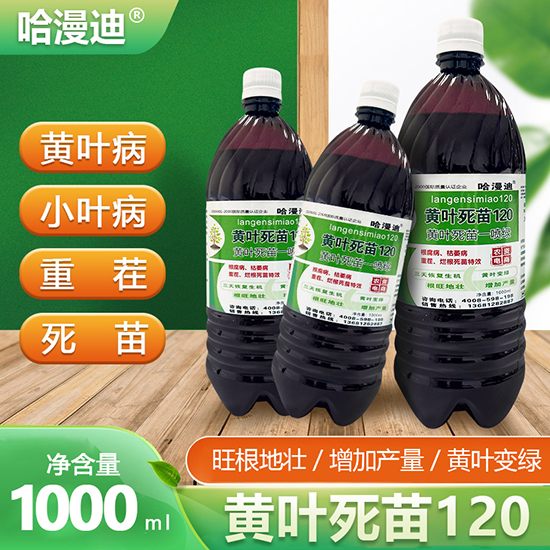 �S�~����120-������-�ο�ֲ��2