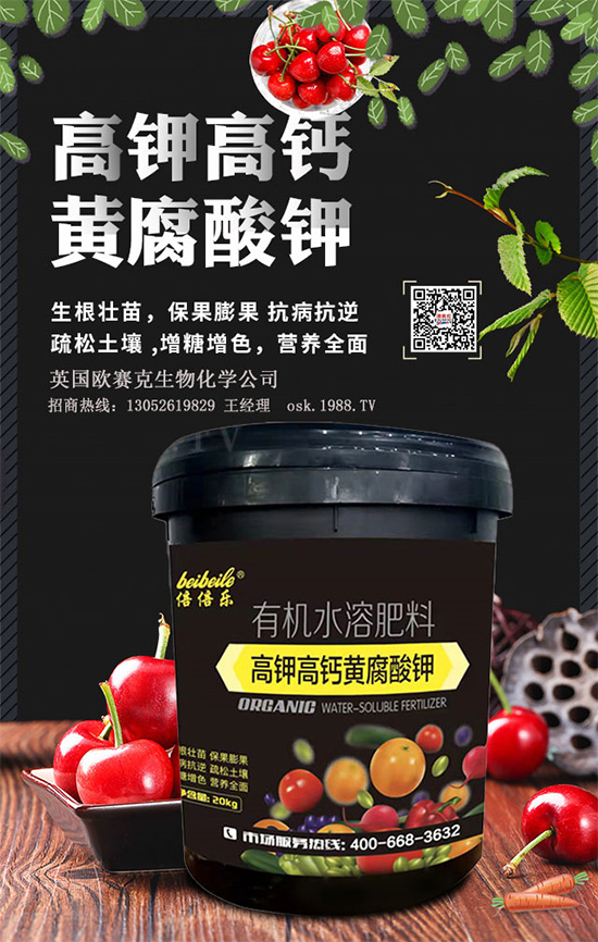 һ���S�����=�����������������ЙC�����S����⛞�����������