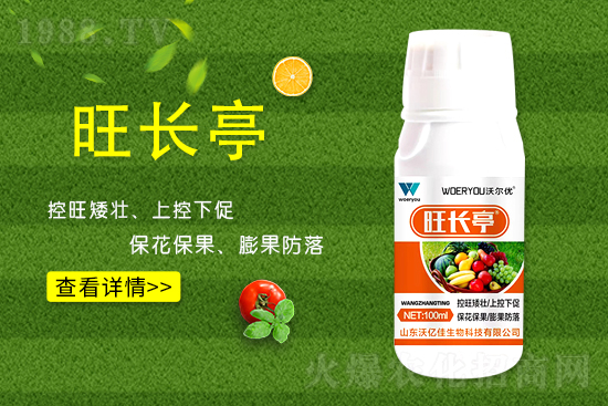 ʲô���S�����L���S�����L�ķ��ش�ʩ