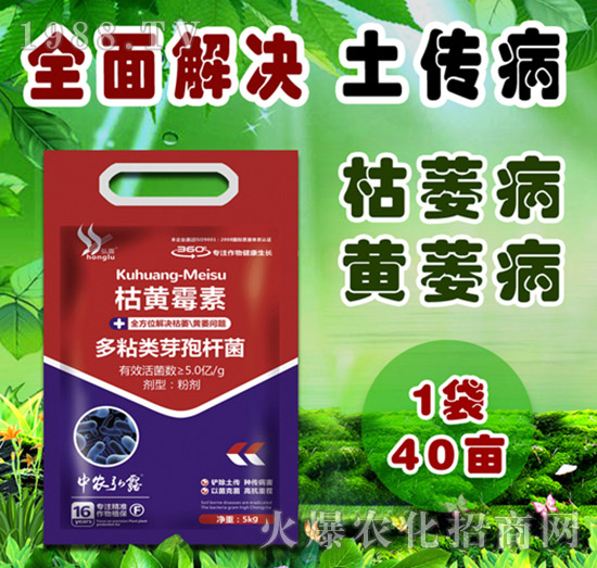     ��(x��)���Բ�������Щ������ˎ����ô�x��һƪ�����f����