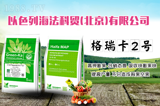 果蔬膨果增產(chǎn)的秘密!杜絕裂果空果,以色列原裝進(jìn)口,配方萬里挑一!