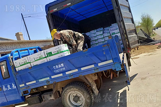 暢銷爆品!實(shí)力廠家!格瑞卡2號(hào)發(fā)貨不停歇