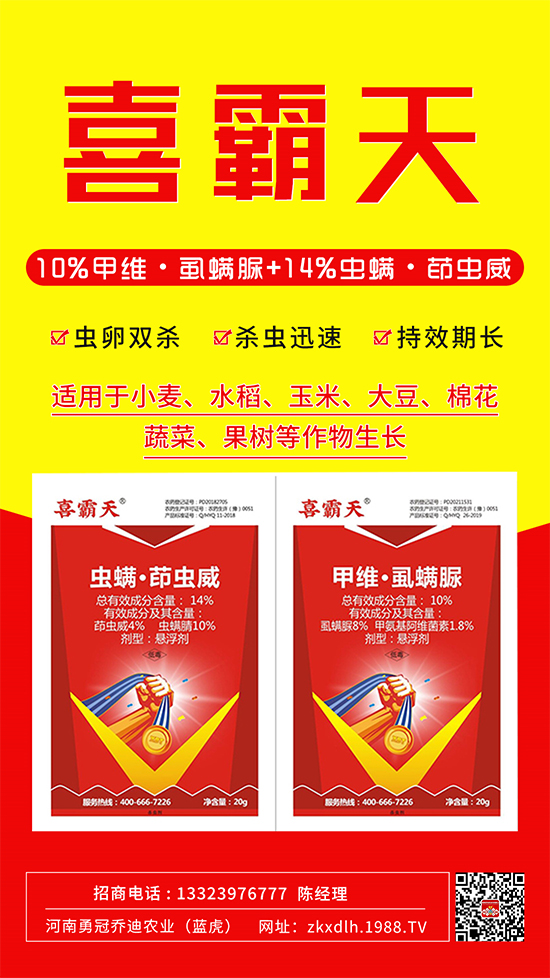 С�˶��������xΣ����̫�y�����@����ˎ��һ��һ����!