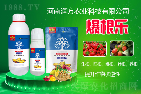     ���ϝ����r(n��ng)�I(y��)�Ƽ����޹�˾��΢�������-������-����ñ���Ɏ���ֲ�ｨ�����я���ĸ�ϵ�����Mֲ������B(y��ng)����ˮ���c���w�������������������������������Ѹ����B(y��ng)����������������