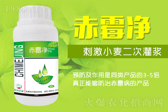 �o�����ѣ�δ��ʮ����С����ù�������P(gu��n)�I������(w��)��ץ����