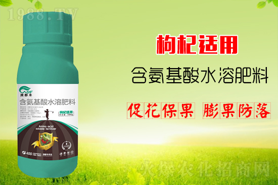 枸杞繁殖方法，主要的品種有哪些？