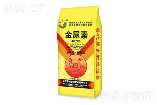 ���؃r(ji��)��