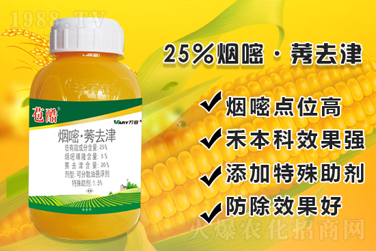 ���׳������e���@�׷N���݄���