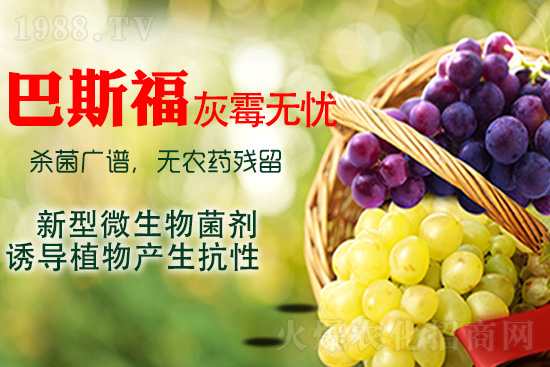 ���ѻ�ù��ԓ��ν�Q����ù����ˎ���h��