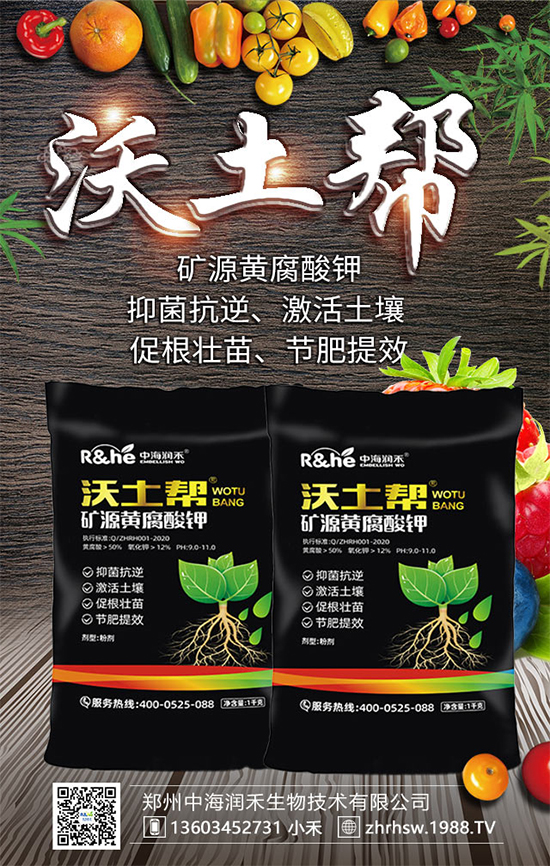 �VԴ�S�������ô�ã��ŵ���������ܿ���Ч����