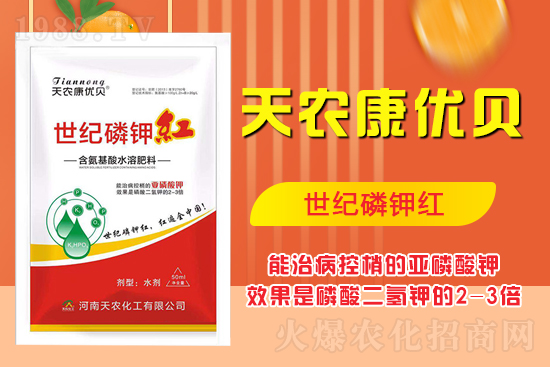 ���������ʲô���ã����˽����