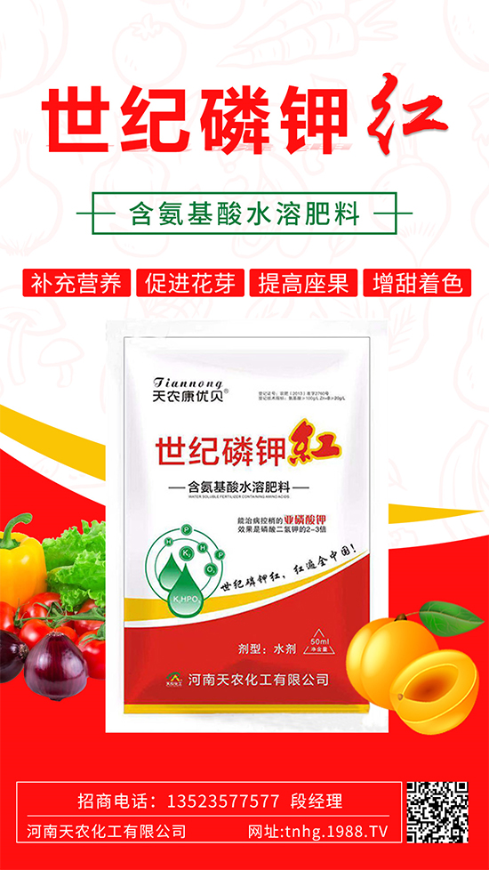 ���������ʲô���ã����˽����