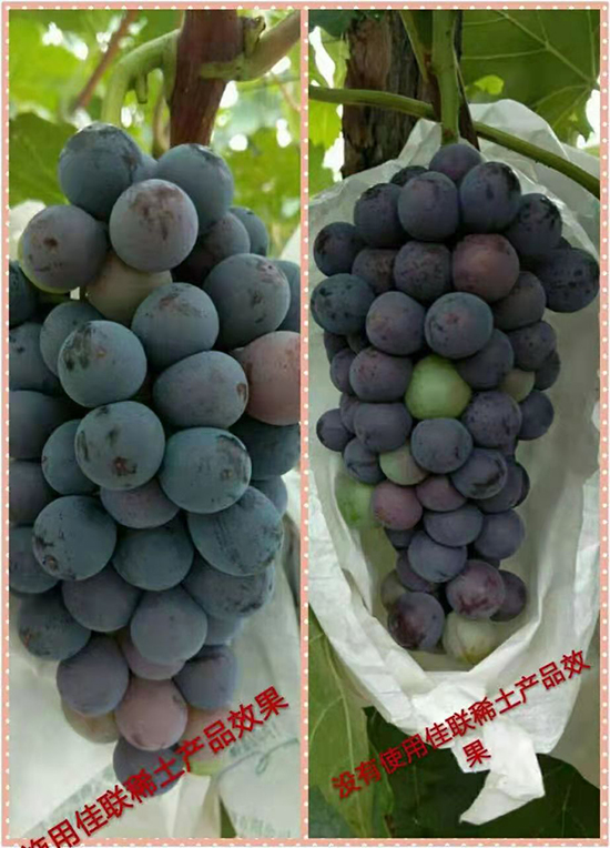 ��(li��n)ϡ���a(ch��n)Ʒ