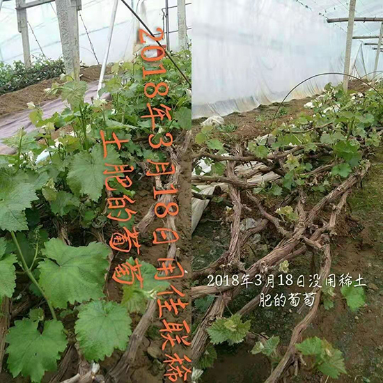 ��ϡ���M