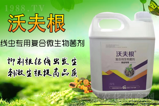 ���Y���x��Ⱦ������������������������Ч����!