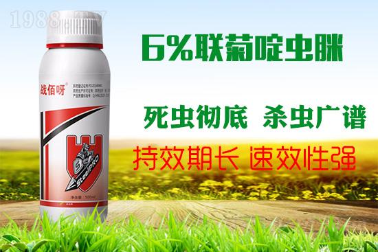 �������x���l(f��)�l��������ע����ǰ�������ׂ�(g��)��(du��)���p�ɸ㶨��