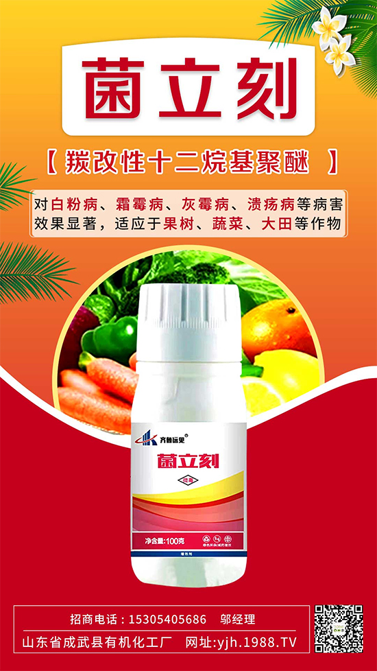 ����˪ù��߀�ǰ׷۲����e��ɵɵ�ֲ����ˣ���ηֱ漰������