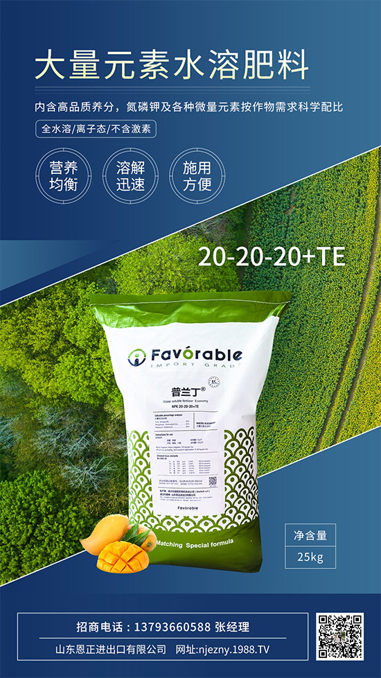 ɽ�|�����M(j��n)�������޹�˾9