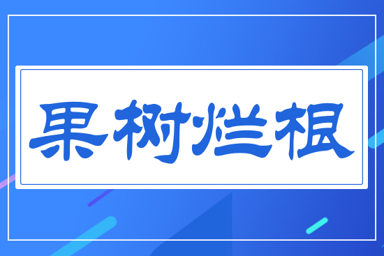 ����(sh��)����