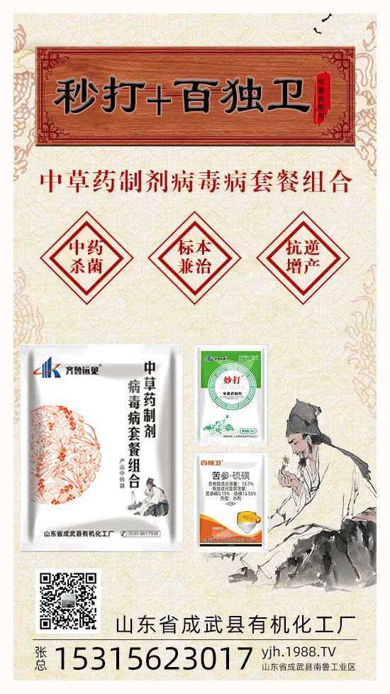 ��ֲ�ﰩ�Y-���������������������в�ˎ������������