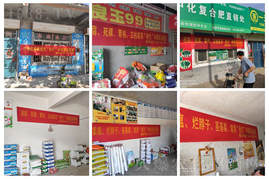 ��ֲ�ﰩ�Y-���������������������в�ˎ������������