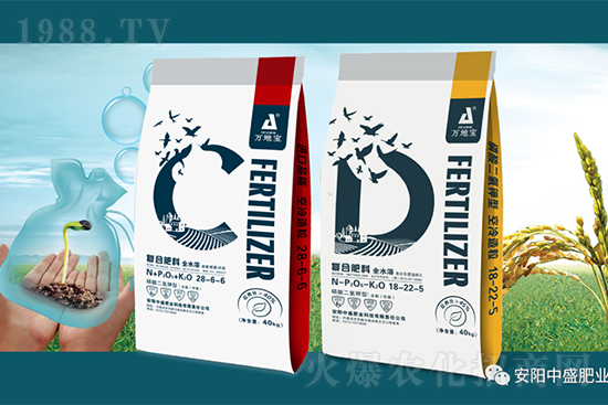 水稻分蘗不好對產量有多大影響？促進水稻分蘗怎么做？