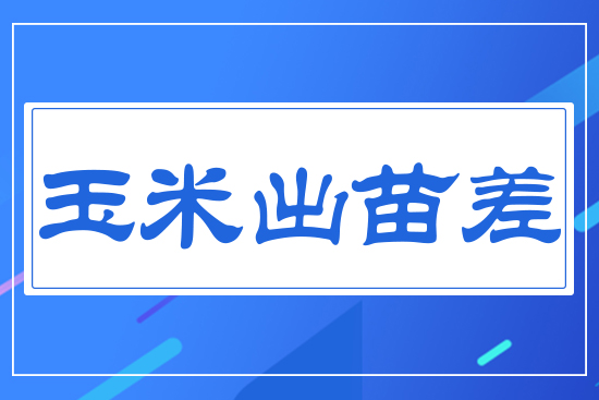 ���׳����