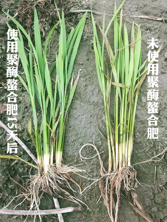 δ��(bi��o)�}-1