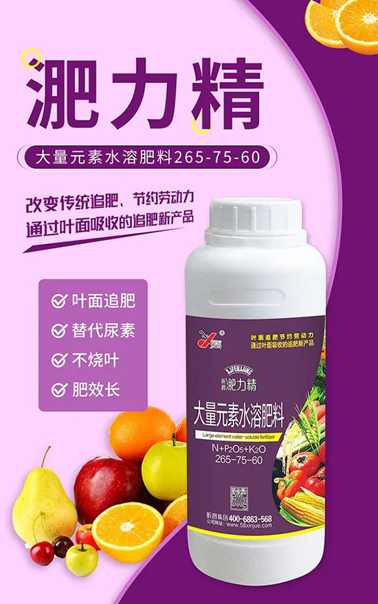 玉米追肥復(fù)合肥好還是尿素好？很多人都錯(cuò)了！它才是正確選擇