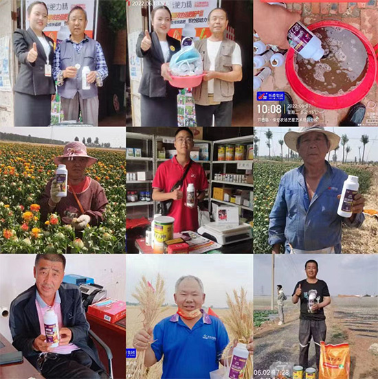 玉米追肥復(fù)合肥好還是尿素好？很多人都錯(cuò)了！它才是正確選擇