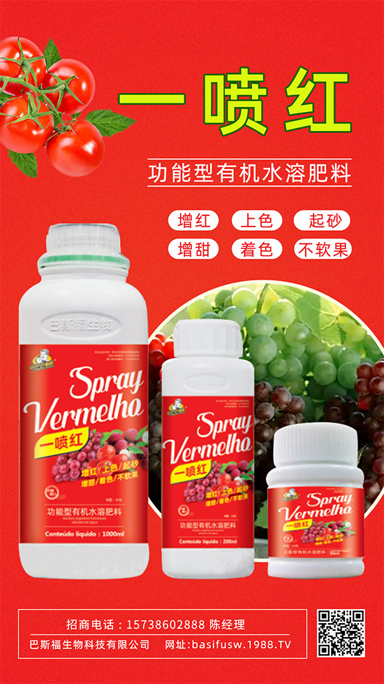 ����(sh��)�D(zhu��n)ɫ����������������������u�r(ji��)������ǰ������