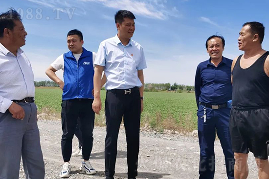 中農(nóng)化新疆北疆辦事處負責人:同路同行共發(fā)展