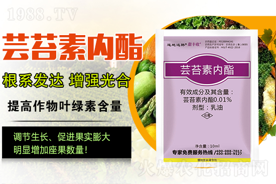 蕓苔素內(nèi)酯為啥被稱為植物救命藥？蕓苔素內(nèi)酯怎么選？