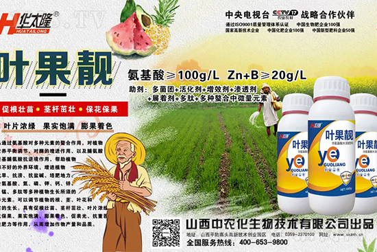     蘋果果個小是什么原因？解決對策有哪些？