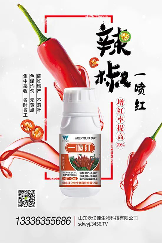 ���t�����95%���߼t�����~�����뷭�׷�����������һ���t��