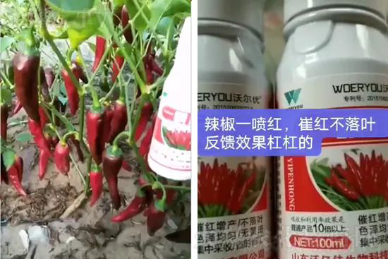 ���t�����95%���߼t�����~�����뷭�׷�����������һ���t��