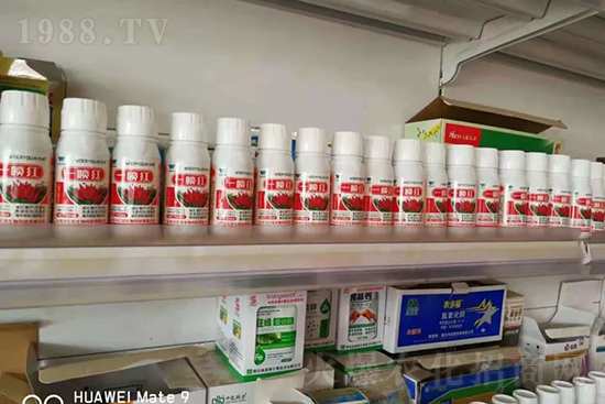 ���t�����95%���߼t�����~�����뷭�׷�����������һ���t��