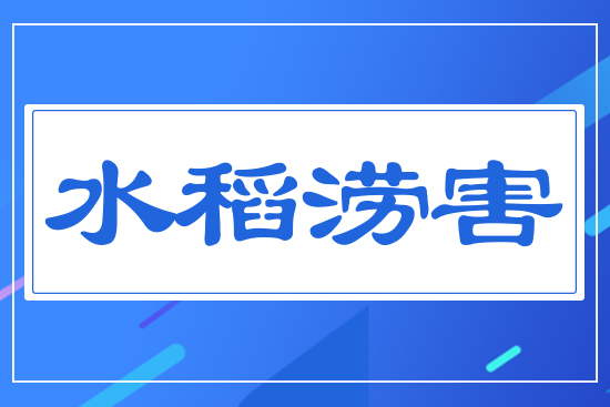 ˮ������